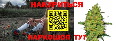 spice Обнинск