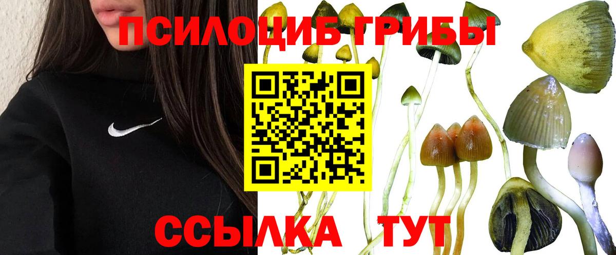 Псилоцибиновые грибы Magic Shrooms Татарск
